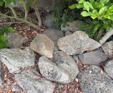 Garden rocks