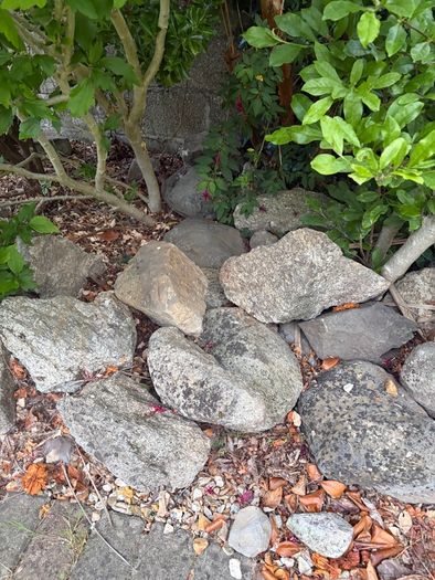 Garden rocks