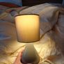 Table lamps for sale see photos Image 5