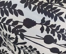 1 Curtain