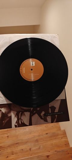 A House Vinyl Lp and 12" singles