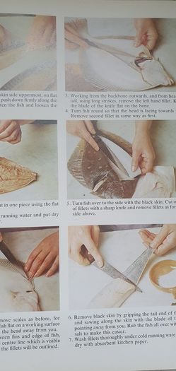 Vintage Cookbook :The StMichael All Colour Cookery Book by Jeni Wright - 1984