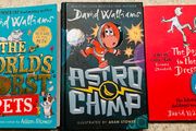 David Walliams x3 Books - Kids 9+ - Excellent Condition