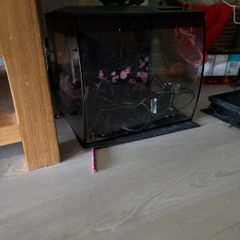 fish tank with filter and light