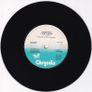 Blondie Sunday Girl Uk Press 1978 Single Image 2