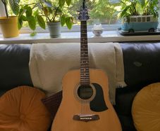 Aria Ariana Acoustic Guitar AW68
