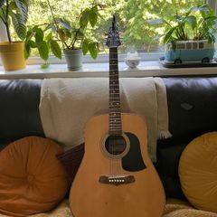 Aria Ariana Acoustic Guitar AW68