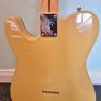 Fender Thinline Telecaster Image 6