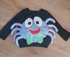 Spider dress up