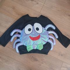 Spider dress up
