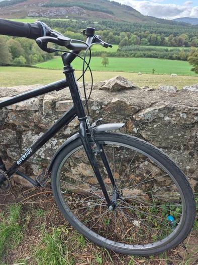 Men's Bicycle