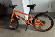 Frog Bike 55