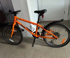 Frog Bike 55