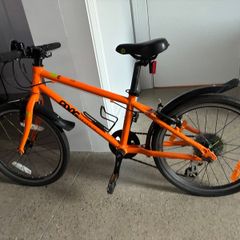 Frog Bike 55