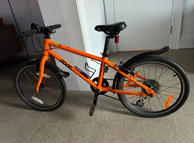 Frog Bike 55