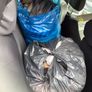 Used Clothes and shoes mostly for ladies, girls and a boy of 6 years old in excellent condition for Free (Possibly for charity or someone working with homeless people) Image 2