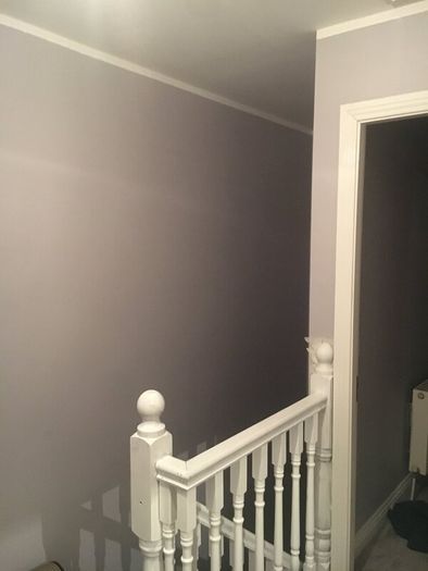Painter Tiler kitchen fitters, handyman