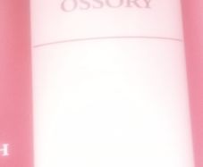 Clergy of Ossory