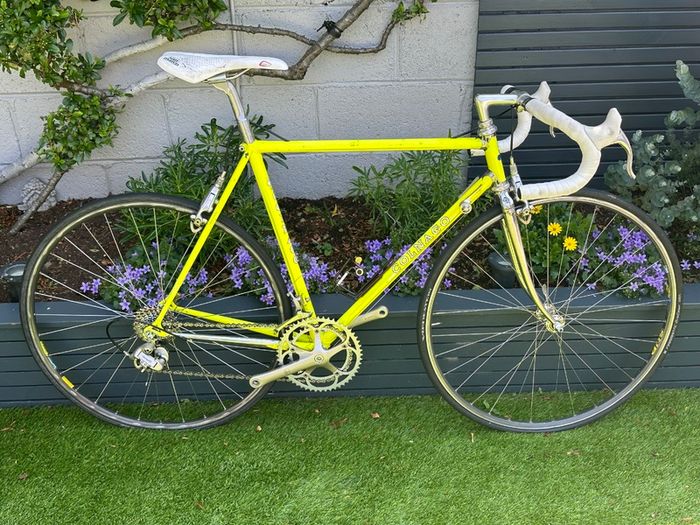 Colnago Master