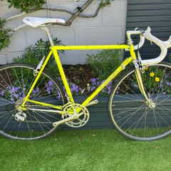 Colnago Master