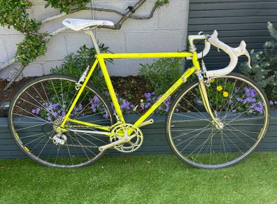 Colnago Master
