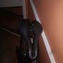 saddle Image 8