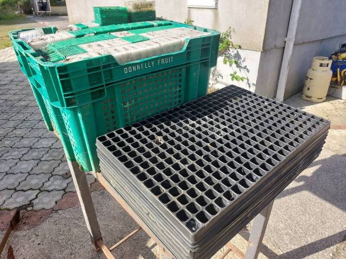 Free Seedling Trays & Planting Containers
