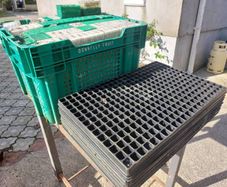 Free Seedling Trays & Planting Containers