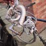 Classic vintage old peugeot road racing bike Image 4