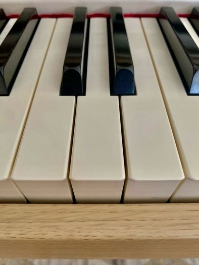 Roland RP701