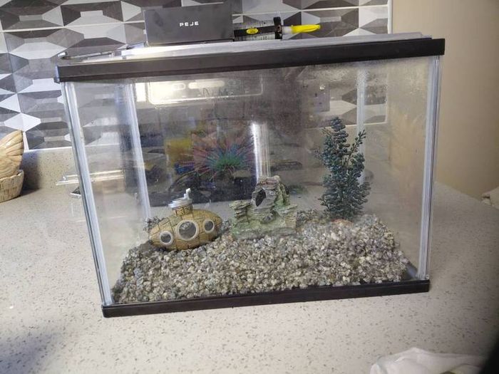 fish tank