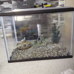fish tank