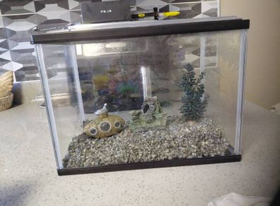 fish tank