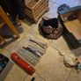 knitting needles Image 6