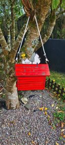 Snoopy bird box