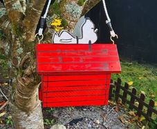 Snoopy bird box