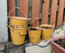 Plant pots