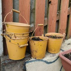 Plant pots