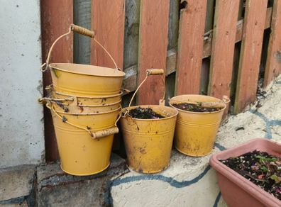 Plant pots