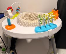 Skip Hop Activity Centre