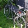 Bikes Image 3