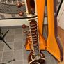 Sitar Image 6