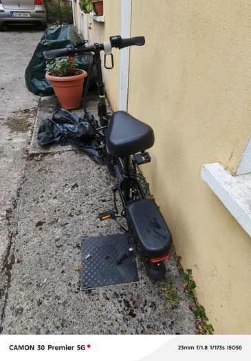 Electric folding Bike
