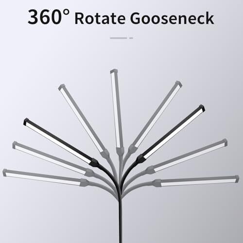 Lash Light, LED Floor Lamp, Reading Floor Lamp, Adjustable Gooseneck, 3 Heights, 10W Dual Brightness, Portable Standing Lamp for Eyelash Extensions, Makeup, Office