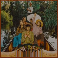 The true story of Bananagun vinyl lp