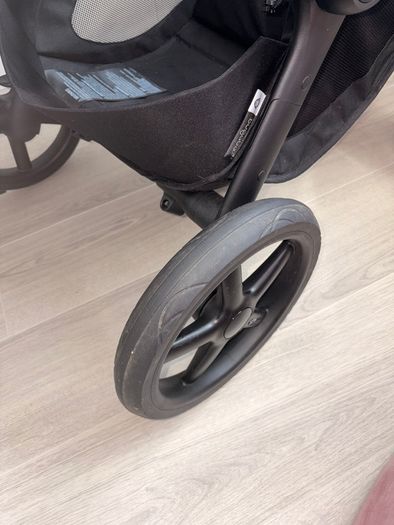 Black bugaboo renew
