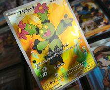 Maractus ! Illustration Rare ! from Black Bolt JP Set ! 2025 ! Japanese Pokemon Card !