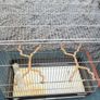 medium size cage Image 2