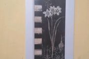 2 Lovely Framed Prints