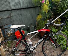 Wilier Triestina Imperiale Carbon Road Bike (Restoration Project / As-Is)